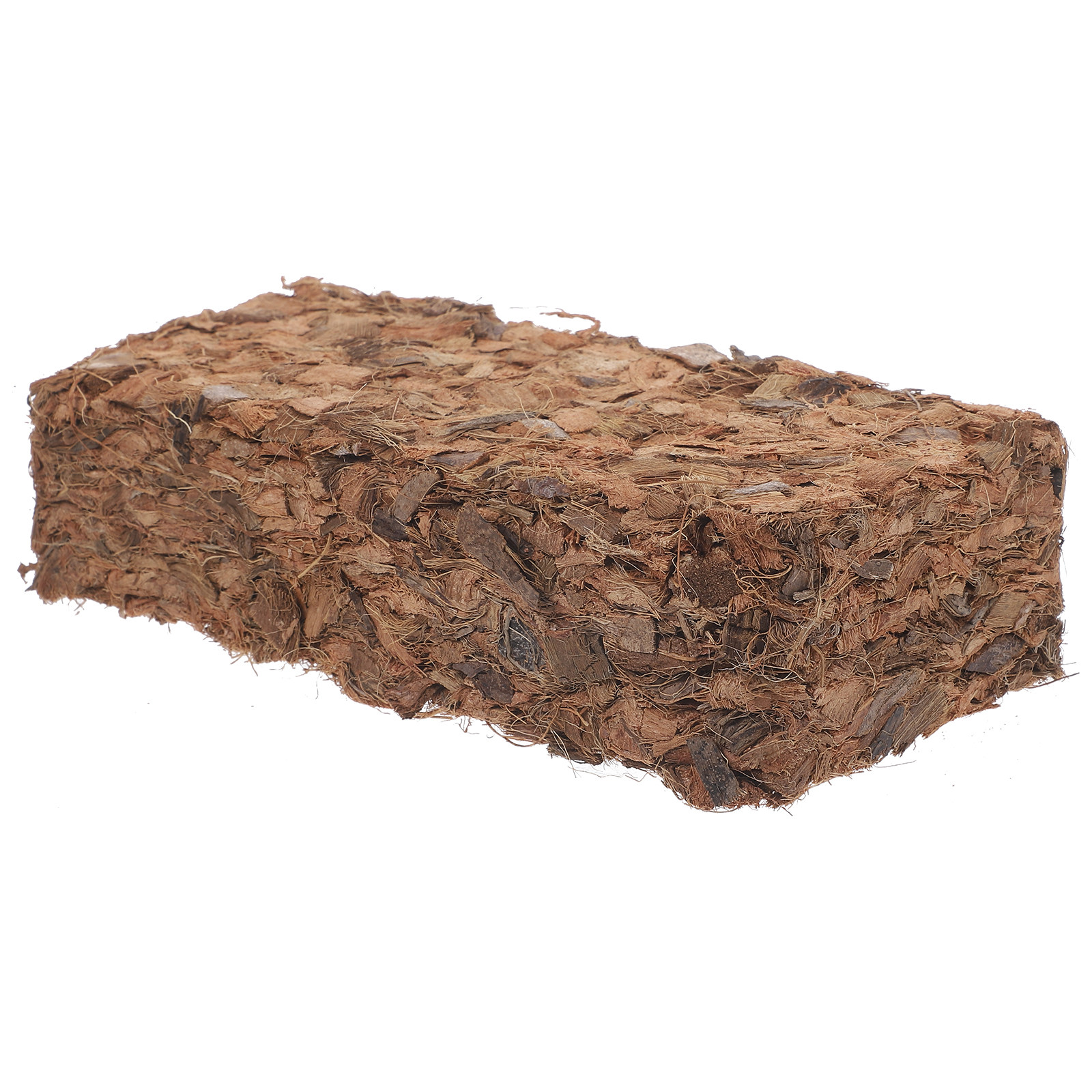 Plant Nursery Block Coconut Co - Nutrition & Fitness Hub Photos recensie en prijs